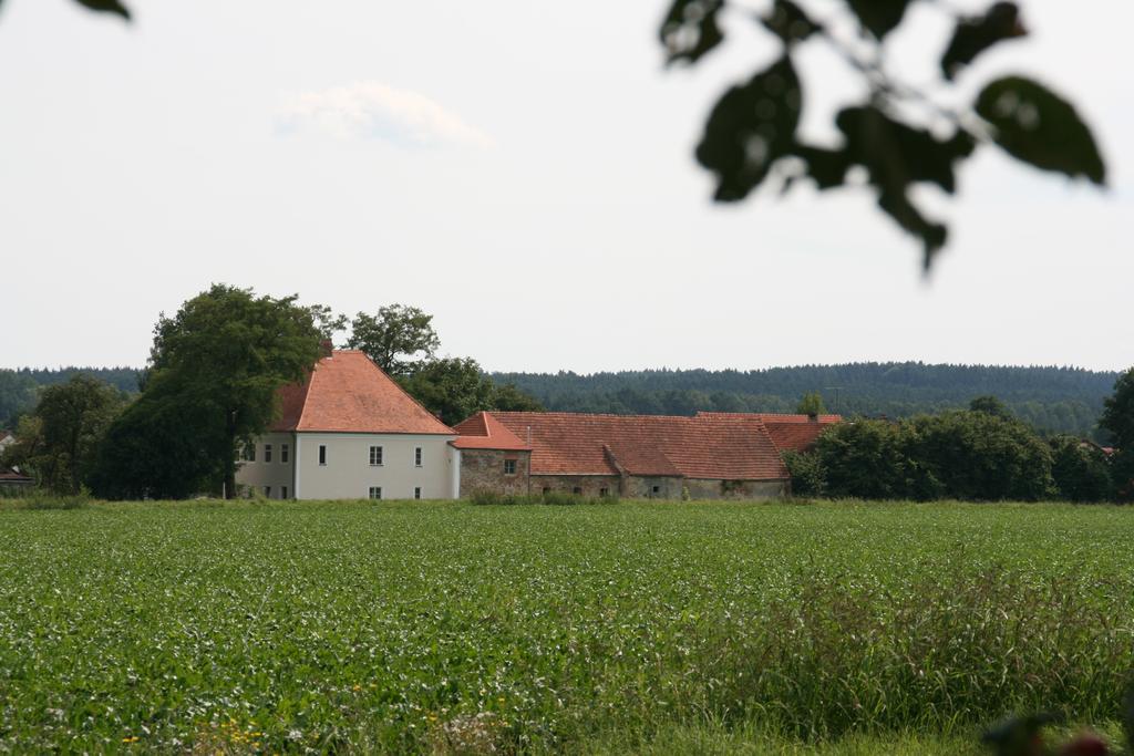 Historischer Pfarrhof Niederleierndorf Langquaid Chambre photo