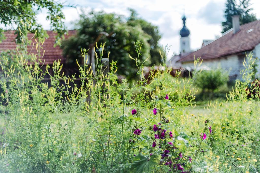 Historischer Pfarrhof Niederleierndorf Langquaid Extérieur photo